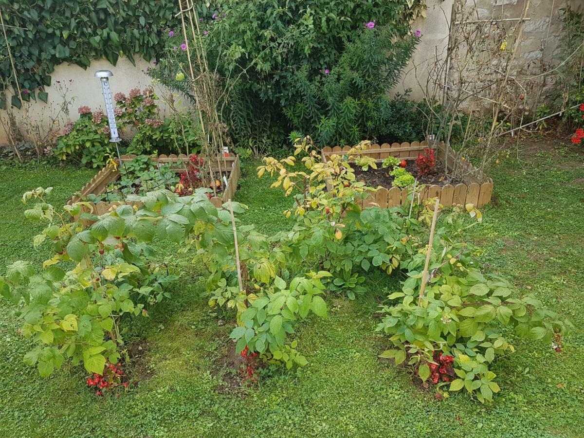 La Montignonne Lejlighed Montigny-sur-Loing Eksteriør billede