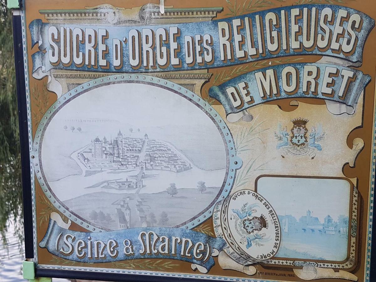 La Montignonne Lejlighed Montigny-sur-Loing Eksteriør billede